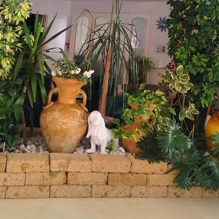 Hotel De Amicis ريتشيوني المظهر الخارجي الصورة